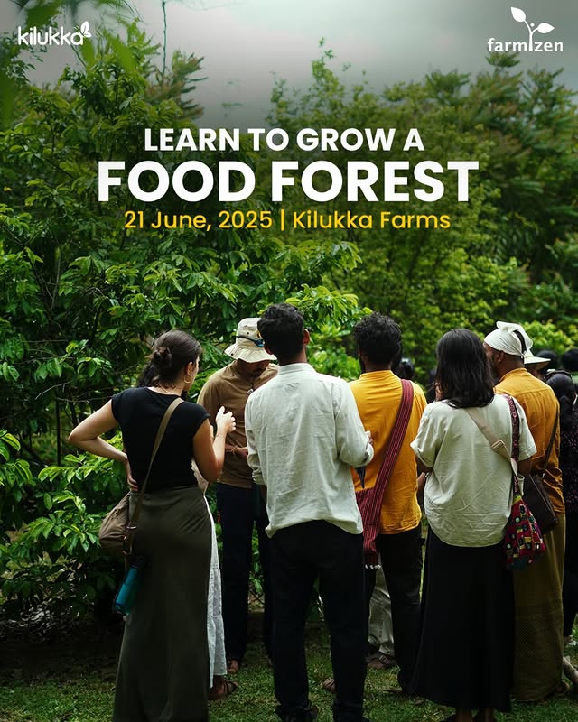 508384584_1653676508671494_3905025177508678513_n