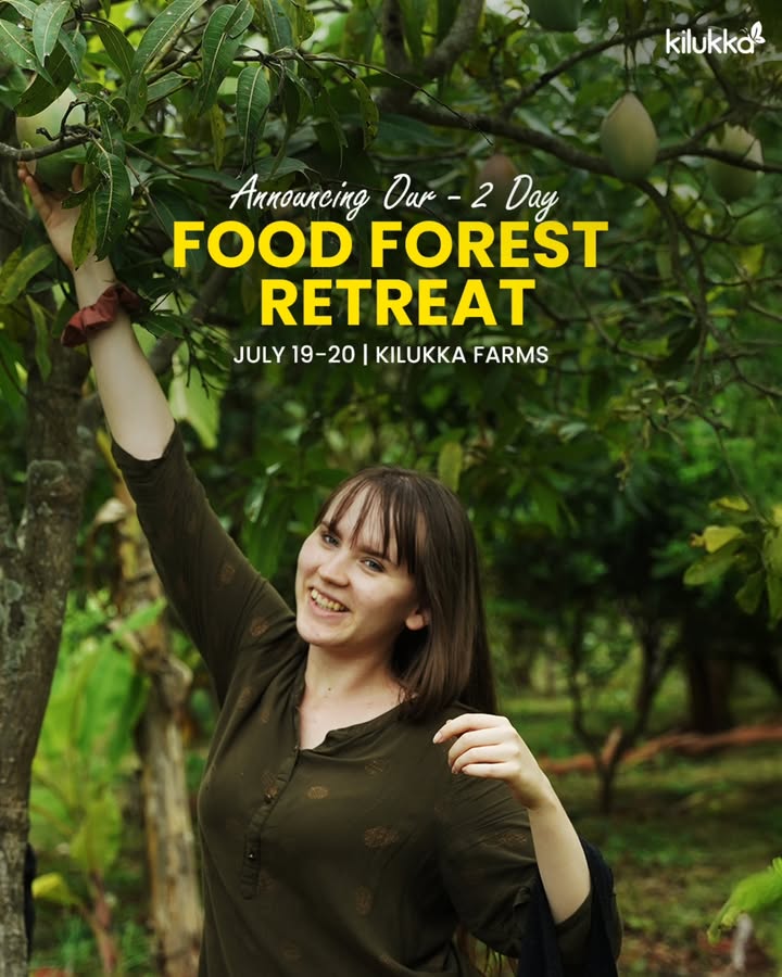 509441366_1070034605050278_2353392786289815898_n