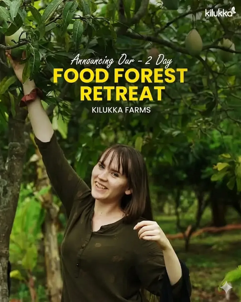 Food Forest Event - Kilukka