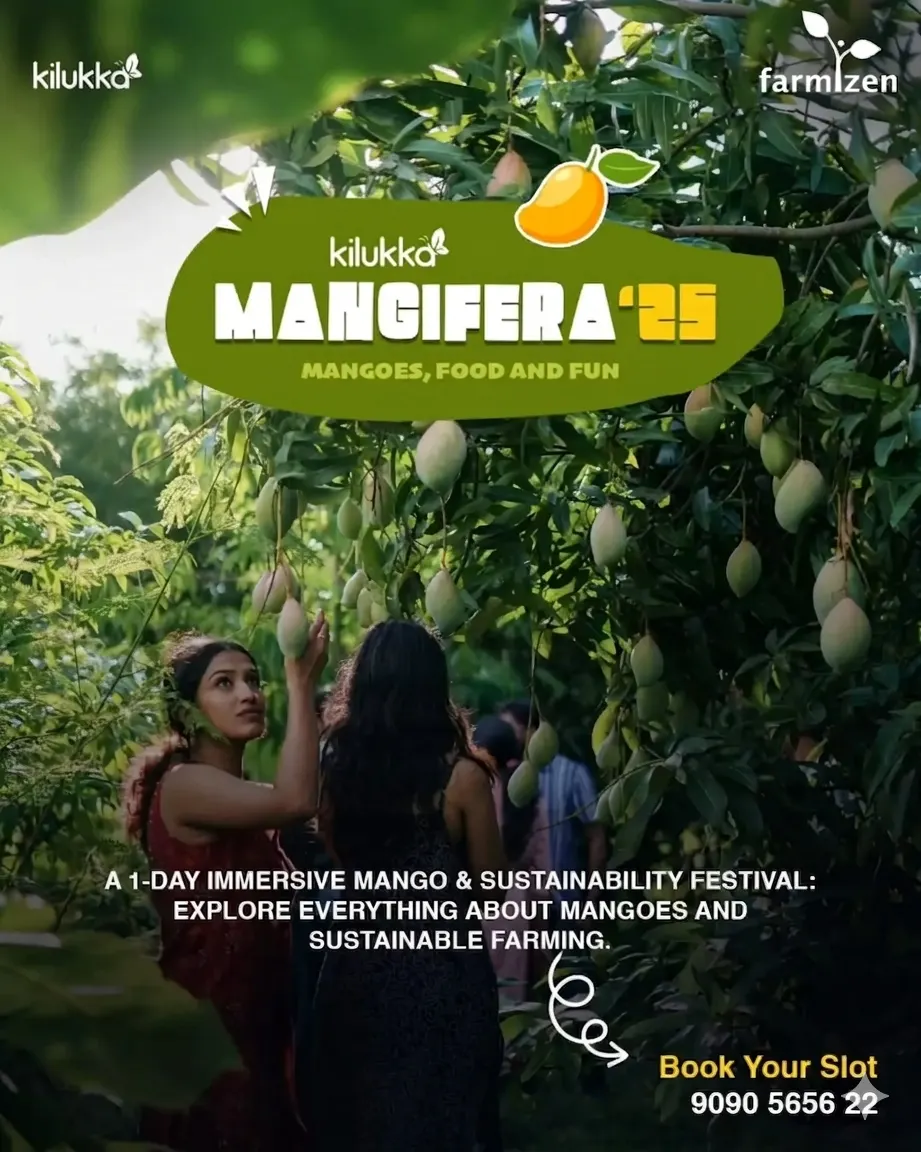 Mangiferra Mango Festival - Kilukka Farm