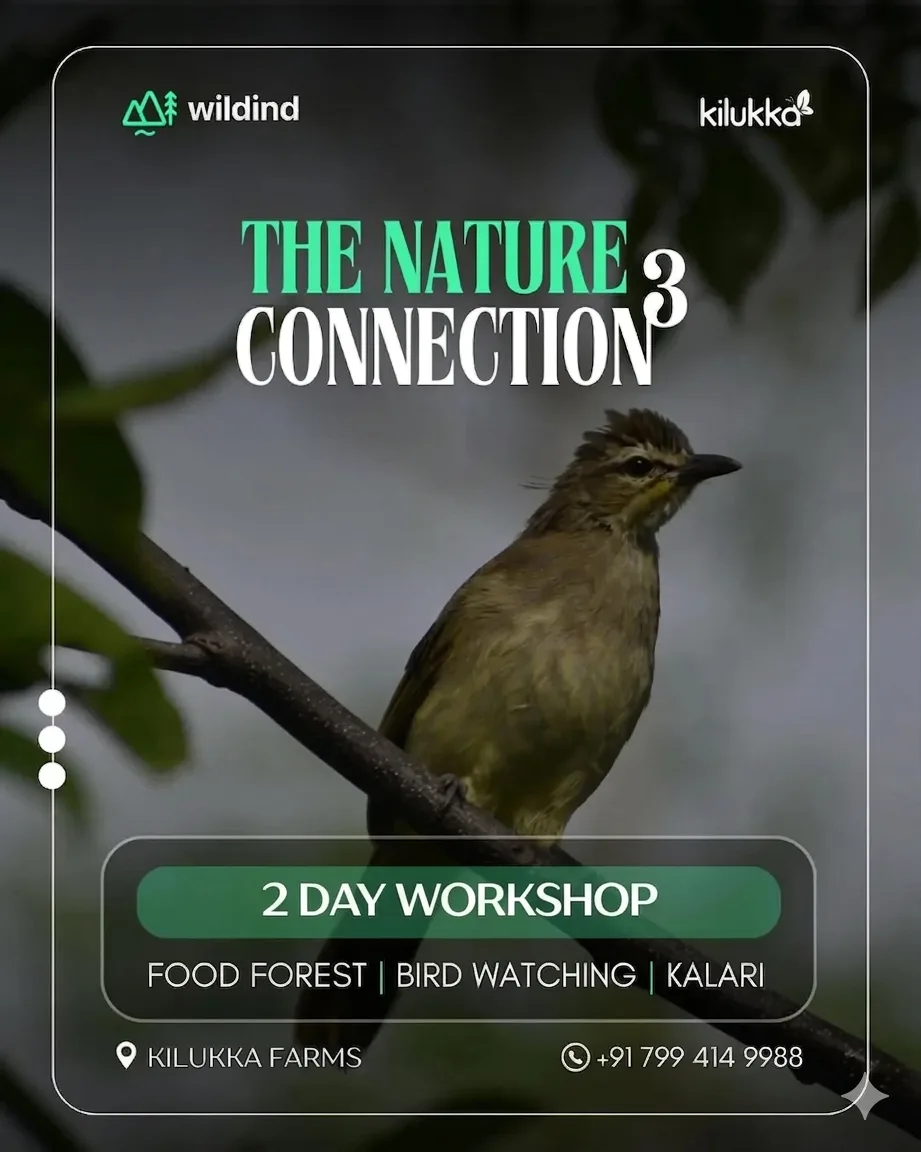 The Nature Conncetion Workshop