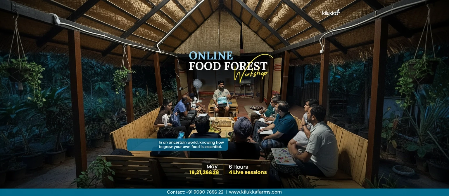 natural_expanded_food_forest_workshop