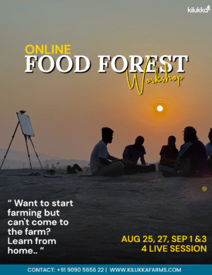 Food Forest Online Workshop