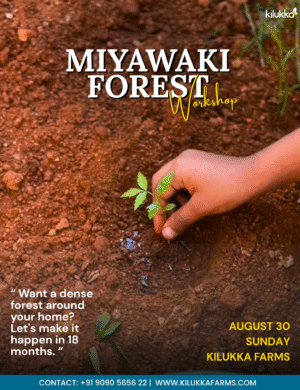 Miyawaki Forest Workshop – at Kilukka Farms