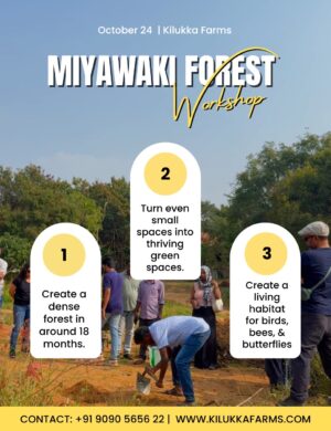 Miyawaki Forest Workshop – at Kilukka Farms
