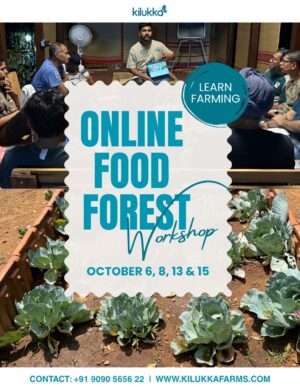 Food Forest Online Workshop