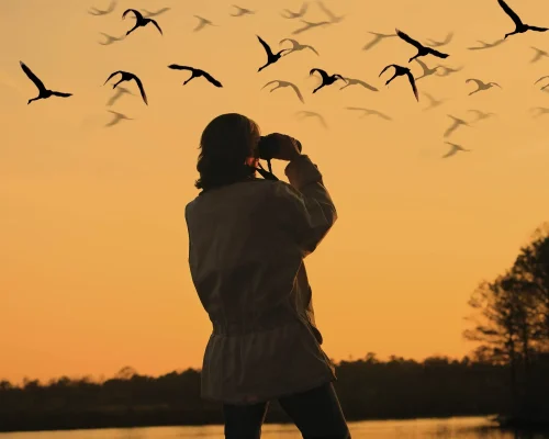 Bird Watching in Kilukka farm