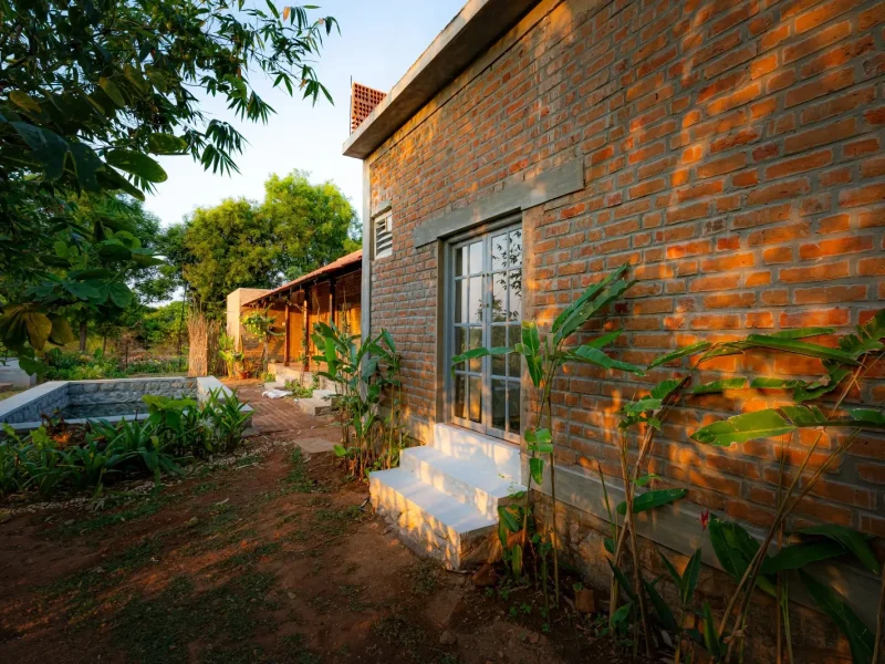 Outdoor natural area view at Ficus cottage - Kilukka Farms