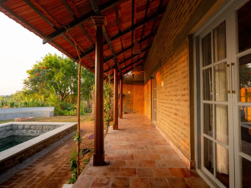 Ficus Cottage walkway at Kilukka Farms - Shoolagiri
