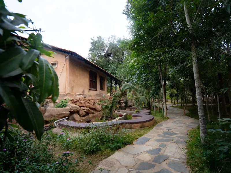 Backside view and walkway of Mud House - Kilukka Farms