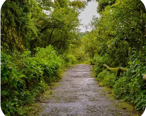 Miyawaki Adventure Trail-Kilukka Farms