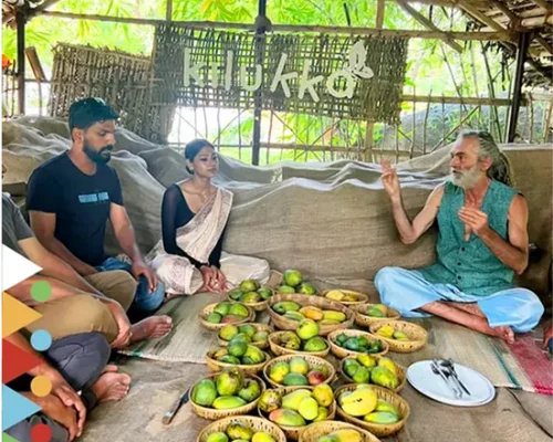 Natural Mangos Collected from Kilukka Farm